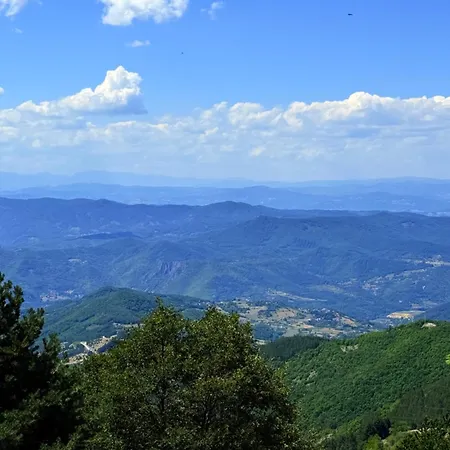 Woodland B65 Hill Apartament