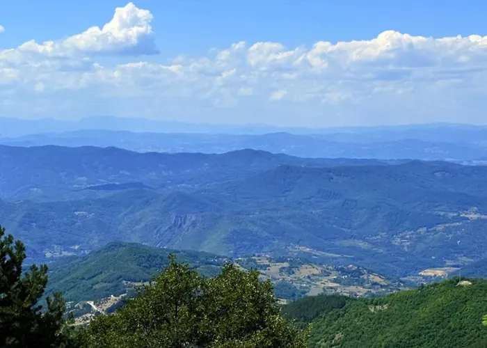 Woodland B65 Hill 아파트